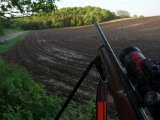 DSC00776  ca end 30m nede kom dyrne ud fra V..helt ne til skov bryn er godt 300m..lig på gænsne til skud med den nøjagtighed min AB har..støtte er 2benr(bipod og stol er nok god nok ellers