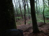DSC00824  regn/ meget ..sidder ved grav komplekset/skovbryent og håber dyr søger til flugt et eller andet setd herinde også