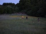 DSC01141  starter igen med mere nøjagtig anskuds angivelse..mørkere = 'lygtetændigstid'