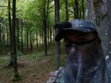 DSC00737  Der bagfra kom mindre hjordyr gog bag om stamme jeg sidder ved ..stampede noget i skovebudne 3-5m bagved mig  og videre efter stykke tid