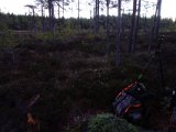 DSC01967  Morgenpase på 2den dagne ved myr