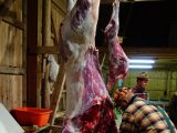 DSC01975  hmm den har blødt meget under boven ved udgangs siden .. måske skulle have tænkt på halsskud, men den stod lidt skrå og og da sigtet var på foran og den stod stille i det øjeblik = beslutning = det er nu