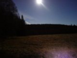 DSC01976  tilbage i aftenen og pis hundene af