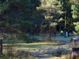 DSC01744  Nogen vil fin trimme indskyd