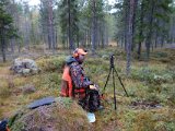 DSC01781  Pas i skoven omkring knissghöjden