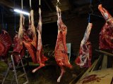 DSC01835  ude ved Kia..hun ville vise hvro sølle en kalæv de fået fat i (ved Persberg ?) ikke mere end et dådyr