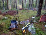 DSC01924  Siddere på Bjh pas ud mod Skåltjärn grænsene