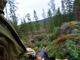DSC01930  er ved et nyt hygge, men ser kun ræv på vej til pas, ravn + stor tjurhane lander i skoven end 50m fremme