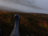 DSC01661  kun lidt huller i lavt hængende sky dække (er nede på omkring 2000 feet)
