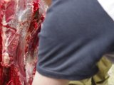IMGP1790  så kommer der ikke hår i snittet