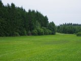 IMGP1793  aften ved græsmark ..der blev i går set 16grise