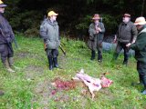 DSC01948  brækket