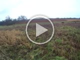 Tjerrild Balle SSJ Nov 2013