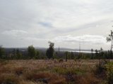 DSC01503  landskabet omkring Lycksele