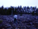 DSC02681  nu ikke så langt til bil (ved skovkanten foroven)