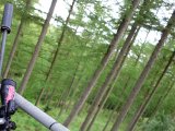DSC03129