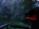 DSC03286