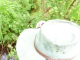 DSC03262