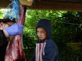 DSC03029  Alexander klipper ribbenene fra..så har vi ryg og nakken og så er den parteret. Olav har løbene slæbt stykkerne ind i køleskab -> nu med det samme ind i fryser. Alexeander får en kølle og mørbraderne.