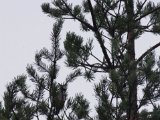 IMGP2861