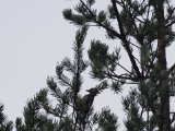 IMGP2862