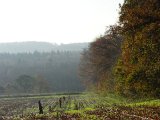 DSC03959