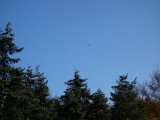 DSC03961