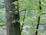 DSC03838  næste post