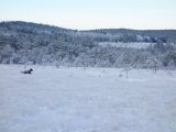 DSC04184