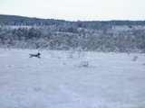 DSC04186