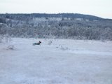 DSC04187