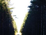 DSC04241