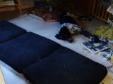 DSC04245