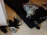 DSC04246