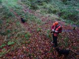 DSC03910  hundefører kommer forbi