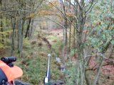 DSC03919  eftermiddags såt har 375Ruger med nu.. der kommer rå forbi ligefrem men for kvik til skud..stige/post bagved mig har skud til rå .. lidt efter har 6ender Sika for han ikke kan skyde til pga uafklaret situation med rådyret..så var tæt på aktion her