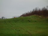 DSC04001