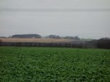 DSC04005