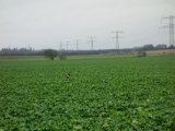 DSC04006