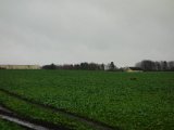 DSC04007