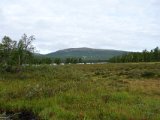 DSC03692