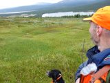 DSC03694  så er vi kommet op i kallfjäll på andne side..vi har lige stødt en ripe i trækanten ..brgener etc trode ikke der var noget , men ...