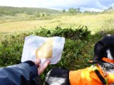 DSC03717  godt..bakken i det fjerne er start på terræn