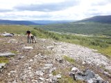 DSC03734  På toppen med udsigt over Ljungdalen hvor vi kom fra.. det blæser godt heroppe