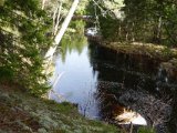 DSC04703  til aften gåt vi ned hvor Per skød hans diste år..jeg forsætter til A^ngvalsbron..der er også gnav