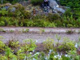DSC05772  ca 8m det var tæt på