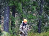 DSC05782  svært med signal nu når hund er oppe toppen/anden side