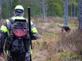 DSC05796  ja hare har den ikke sådan næse for