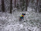 DSC05875  omkring nytår..tager Hap' ud ved Bjh