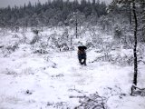 DSC05883  Bjh mossen..der er ikke noget .. men lige vej hjem